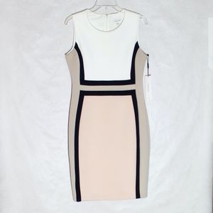 NWT Calvin Klein Sleeveless Dress (Size 10)